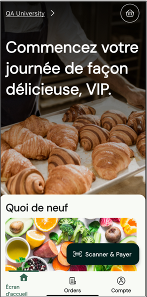 French-Home.png
